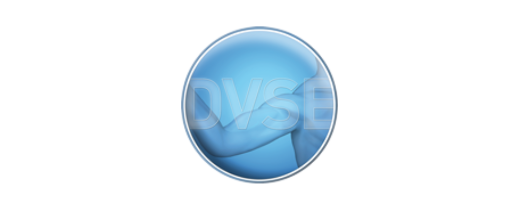 Logo DVSE.