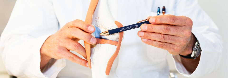 Diagnostik einer Knieverletzung am Modell im OrthoCenter München.